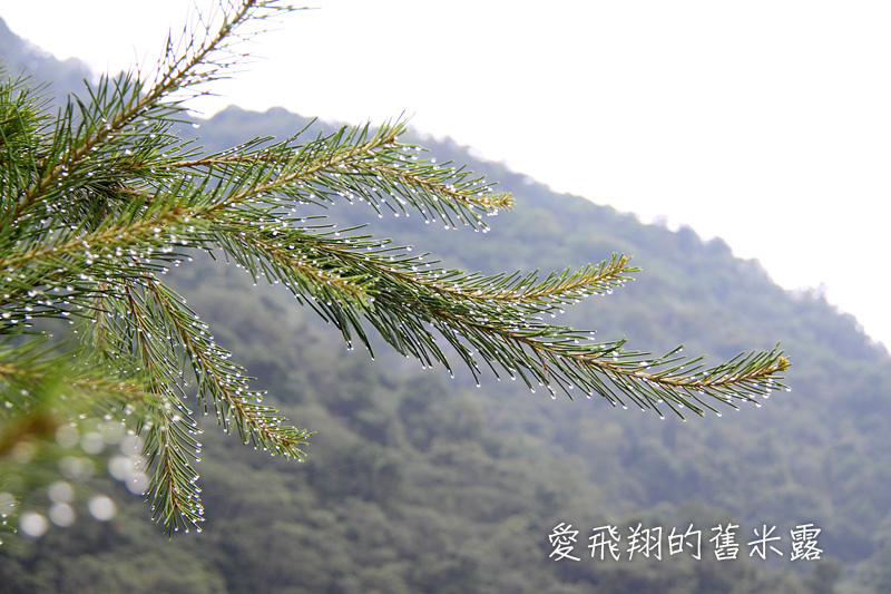 一起趣松鶴&裡冷部落體驗樂天純樸的簡單生活，快樂跳舞、打獵和工藝手作DIY