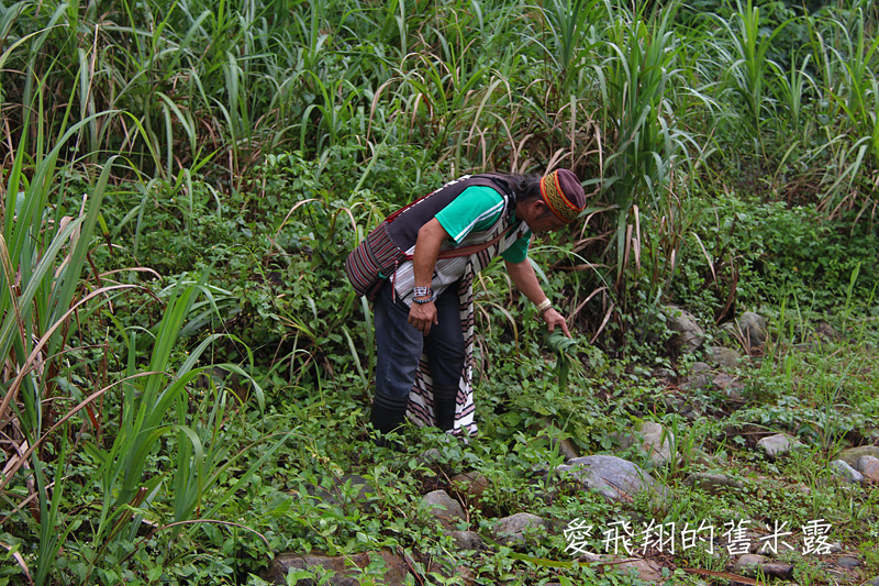 一起趣松鶴&裡冷部落體驗樂天純樸的簡單生活，快樂跳舞、打獵和工藝手作DIY