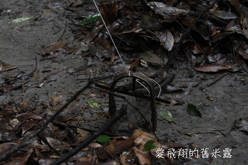一起趣松鶴&裡冷部落體驗樂天純樸的簡單生活，快樂跳舞、打獵和工藝手作DIY