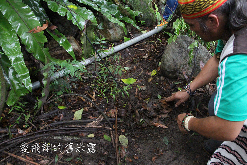 一起趣松鶴&裡冷部落體驗樂天純樸的簡單生活，快樂跳舞、打獵和工藝手作DIY