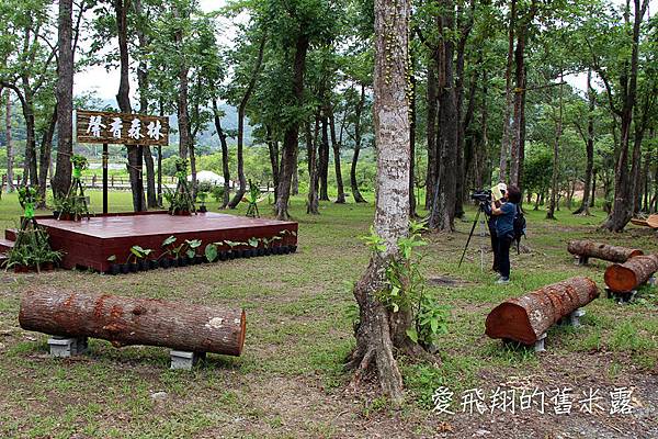 「悠閒南島。山海行旅」東源水上草原舞動之旅，深度體驗屏東原鄉部落之美