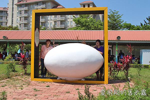 苗栗旅遊景點~來去西湖渡假村一日遊，純樸童趣好遊玩