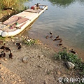 苗栗旅遊景點~來去西湖渡假村一日遊，純樸童趣好遊玩