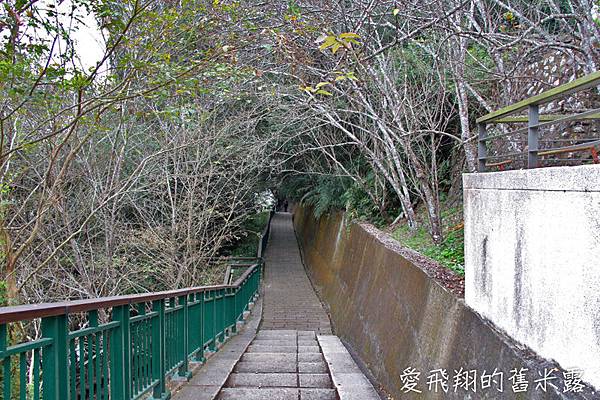 台灣好行日月潭