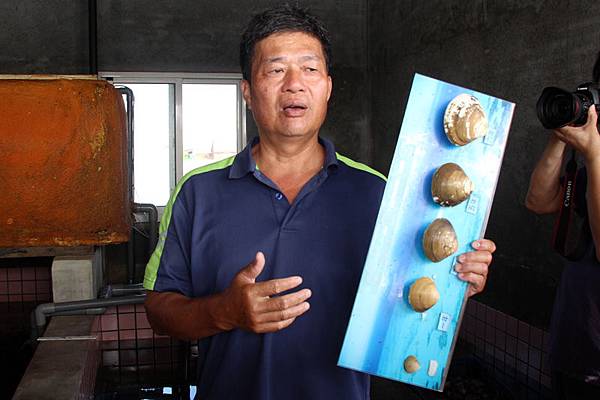 雲林湖口海味漁鄉樂遊趣~馬蹄蛤主題館摸蜆仔、第一鰻波餵魚、火烤烏魚子、體驗農種、品嚐龍膽石斑特餐與成龍溼地看落日