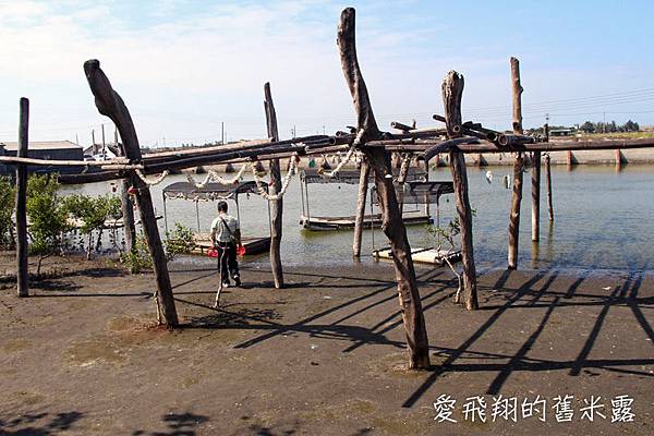 雲林湖口海味漁鄉樂遊趣~馬蹄蛤主題館摸蜆仔、第一鰻波餵魚、火烤烏魚子、體驗農種、品嚐龍膽石斑特餐與成龍溼地看落日