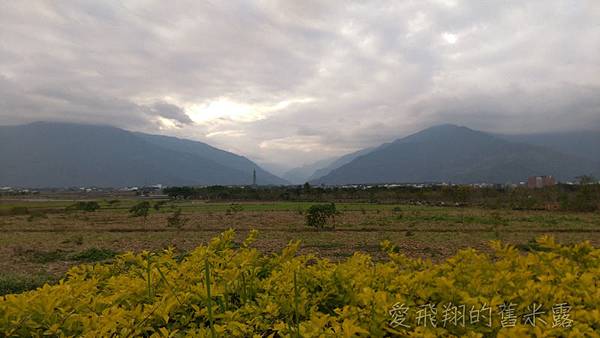 跟著感覺去流浪~慢遊 X漫遊在池上，大波堤到伯朗大道的輕旅行
