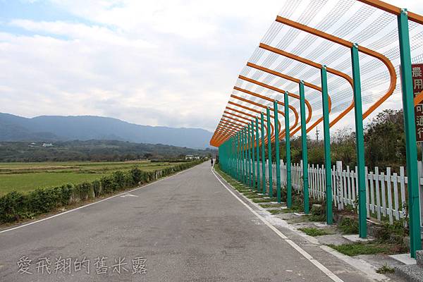 跟著感覺去流浪~慢遊 X漫遊在池上，大波堤到伯朗大道的輕旅行