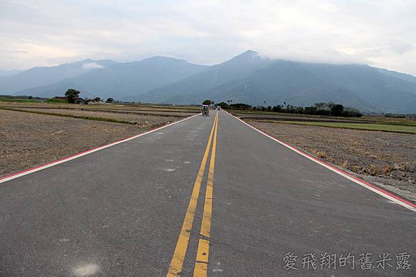 跟著感覺去流浪~慢遊 X漫遊在池上，大波堤到伯朗大道的輕旅行