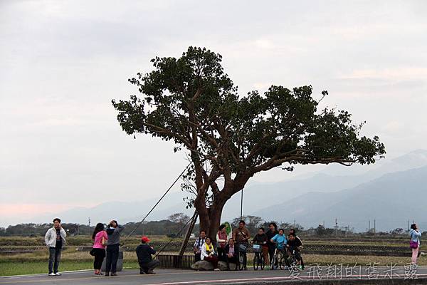 跟著感覺去流浪~慢遊 X漫遊在池上，大波堤到伯朗大道的輕旅行