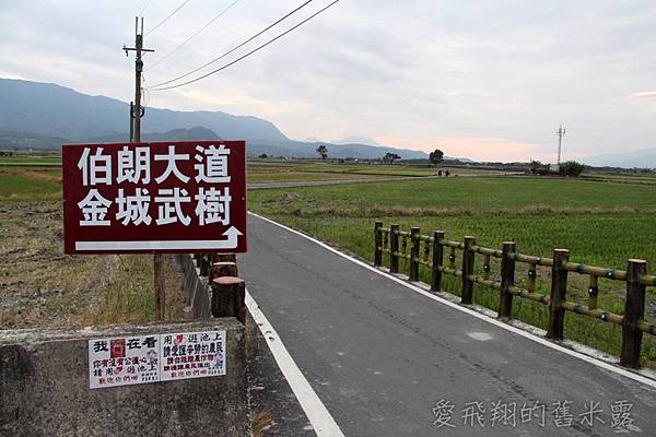 跟著感覺去流浪~慢遊 X漫遊在池上，大波堤到伯朗大道的輕旅行