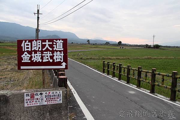 跟著感覺去流浪~慢遊 X漫遊在池上，大波堤到伯朗大道的輕旅行
