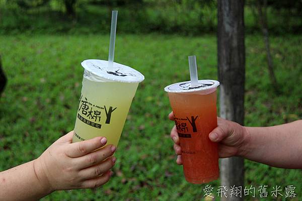 唐棉茶飲