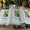 酵素農法種水稻，自然友善耕作的一郎米_20210712_161545