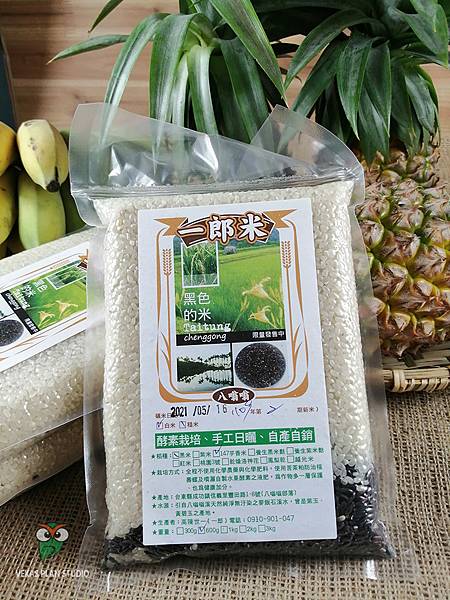 酵素農法種水稻，自然友善耕作的一郎米_20210712_162222