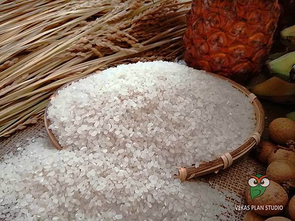 IMG_20210717_104759酵素農法種水稻,自然友善耕作的一郎米 IMG_20210717_104759酵素農法種水稻,自然友善耕作的一郎米