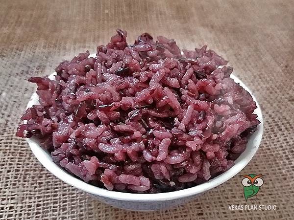 IMG_20210717_131641酵素農法種水稻，自然友善耕作的一郎米