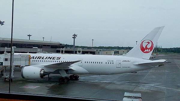 P_20160709_062650.jpg P_20160709_062650.jpg