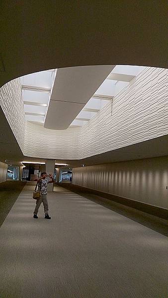 P_20160709_062432.jpg P_20160709_062432.jpg