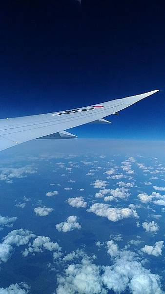 P_20160709_123656.jpg P_20160709_123656.jpg