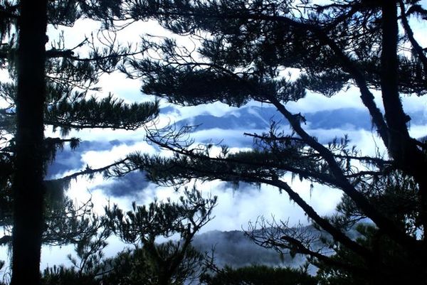 山景~9 山景~9