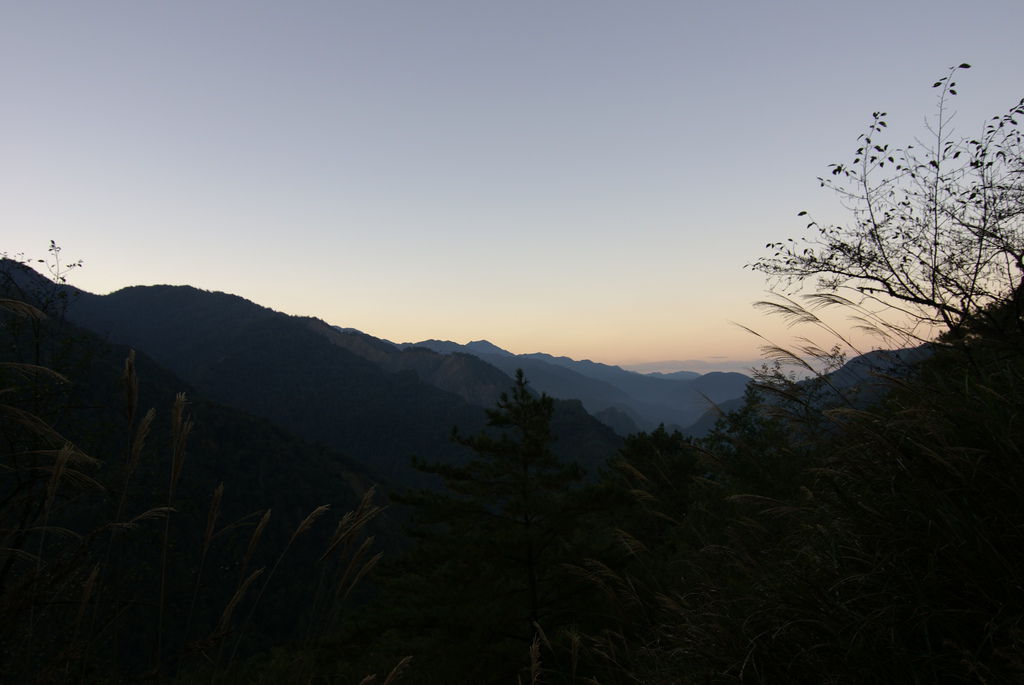 清晨走在大鹿林道 清晨走在大鹿林道