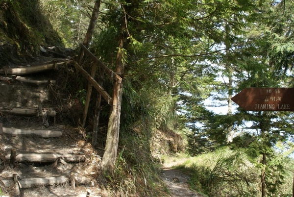 真正開始登山啦~ 真正開始登山啦~