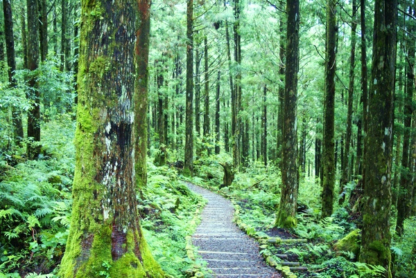 三疊瀑布步道~太平山翠峰湖