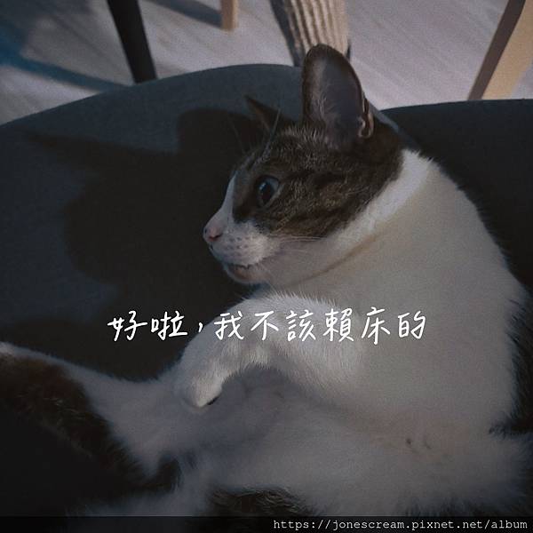 我再也不敢賴床了😱