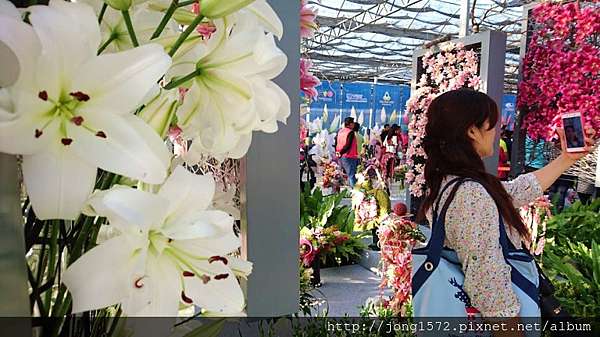 16台灣百合節 花之饗宴在后里 吃營養健康食物 為身體健康加油 天天開心快樂 幸福美好人生 痞客邦
