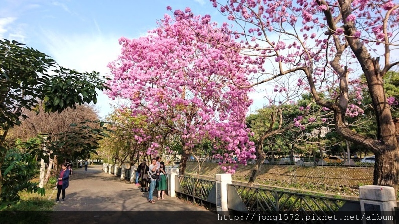 DSC_1126.JPG DSC_1126.JPG