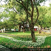 DSC_1404.JPG DSC_1404.JPG