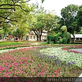 DSC_1399.JPG DSC_1399.JPG