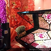 DSC_1385.JPG DSC_1385.JPG