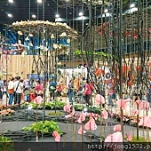 DSC_1380.JPG DSC_1380.JPG