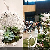 DSC_1378.JPG DSC_1378.JPG