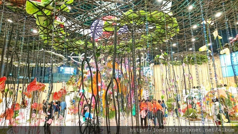 DSC_1366.JPG DSC_1366.JPG