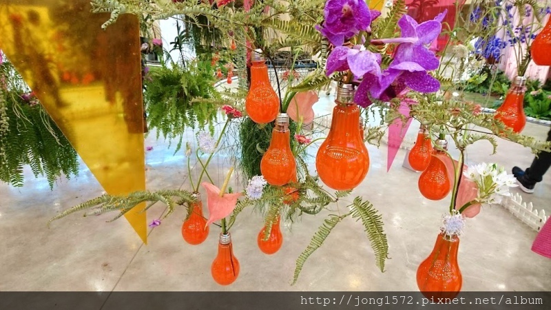 DSC_1372.JPG DSC_1372.JPG