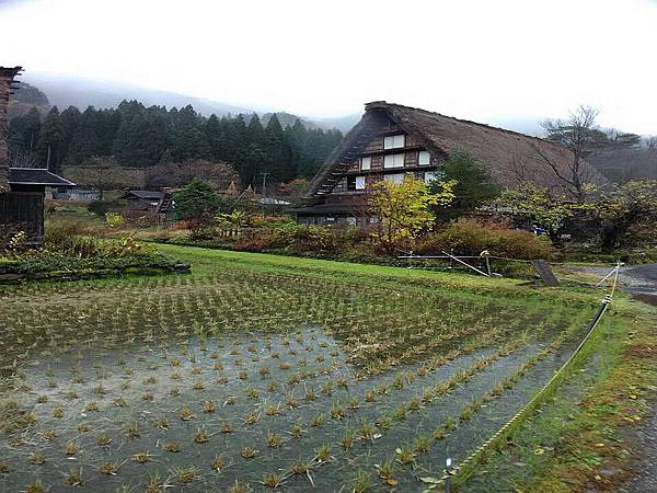 白川合掌村