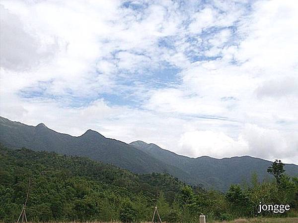 夏日狂想曲 夏日狂想曲