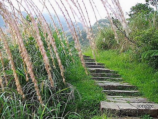 草嶺古道