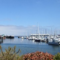 Monterey的遊艇碼頭 其之一