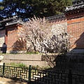 景福宮(Gyeongbokgung)