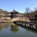 景福宮(Gyeongbokgung)