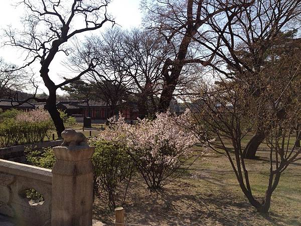 昌德宮(Changdeokgung)