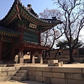 昌德宮(Changdeokgung)