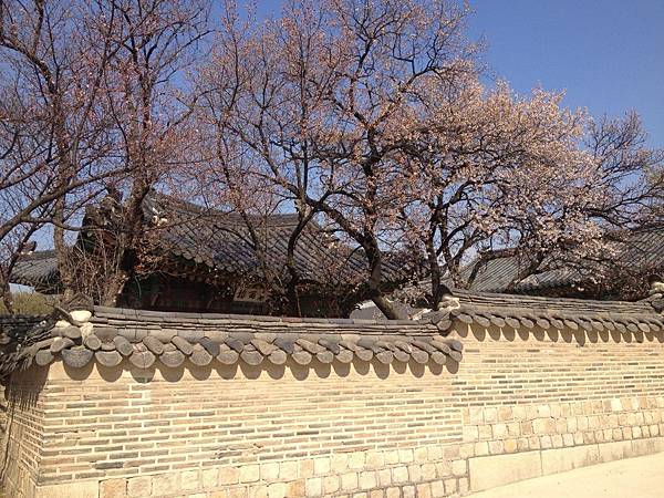 昌德宮(Changdeokgung)