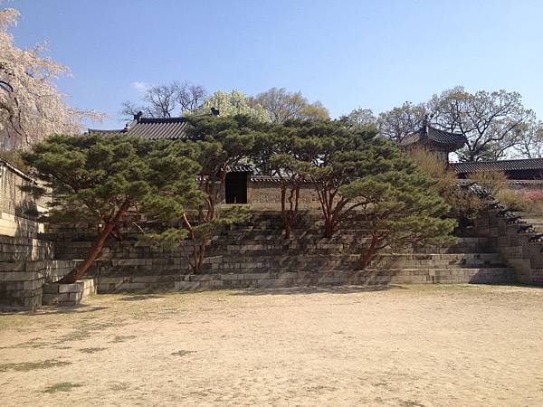 昌德宮(Changdeokgung)