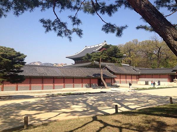 昌德宮(Changdeokgung)