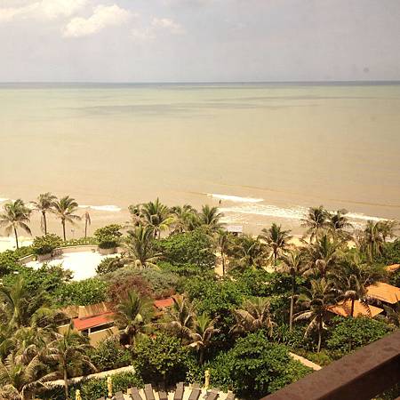 IMG_1755.JPG IMG_1755.JPG